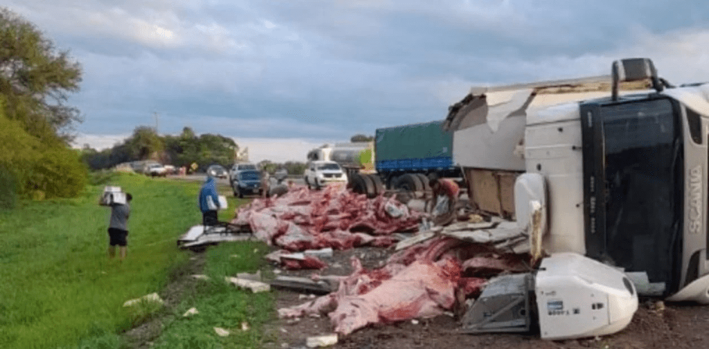 Un camión frigorífico volcó en Salta y lo saquearon: se robaron 11 mil kilos de&nbsp;carne
