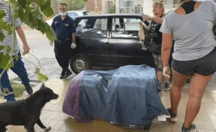 Encontraron perros y gatos mutilados en una heladera de una casa de San Juan: una mujer los mataba para “alargar su&nbsp;vida”