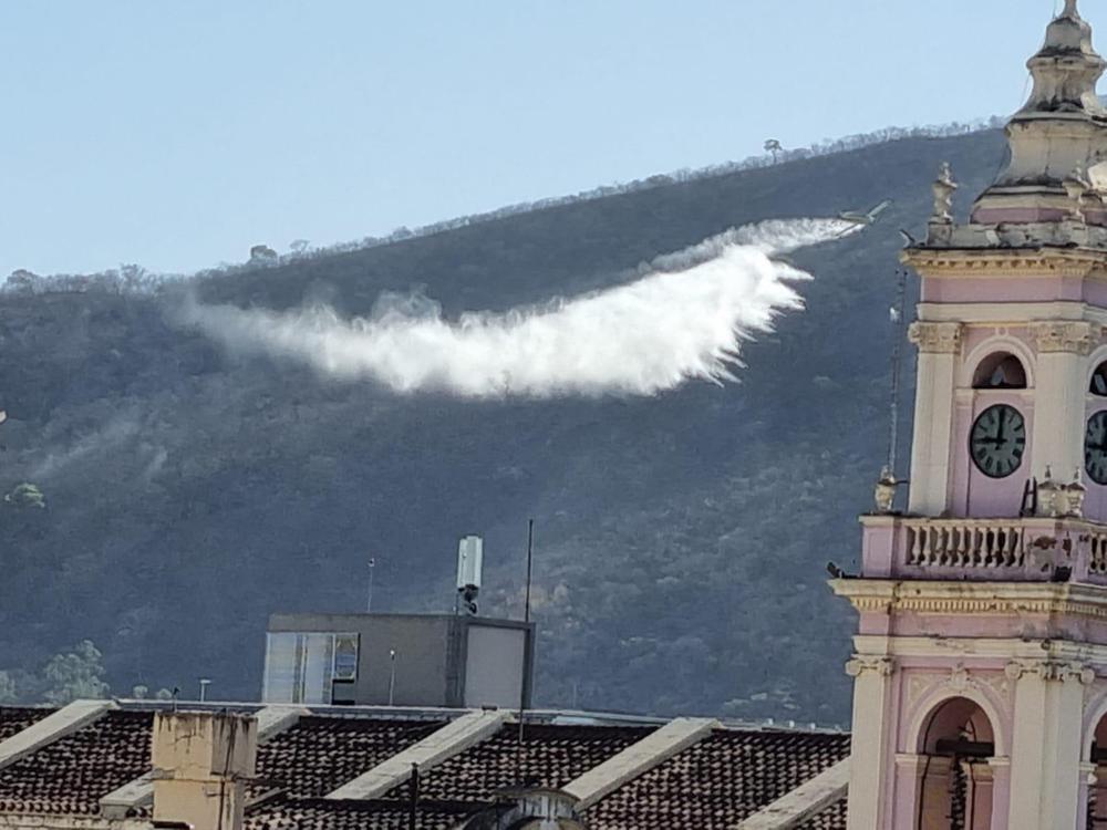 Concejales en búsqueda de un plan de reforestación del cerro San&nbsp;Bernardo