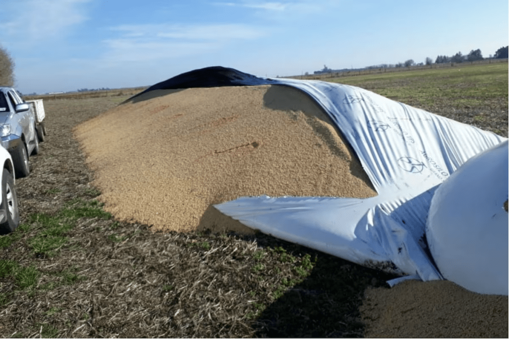 En Rosario de la Frontera se denuncio el robo de 40 toneladas de&nbsp;soja