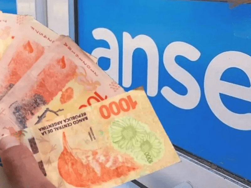 ANSES: cómo acceder a la ayuda economica por desempleo y cuáles son los&nbsp;requisitos