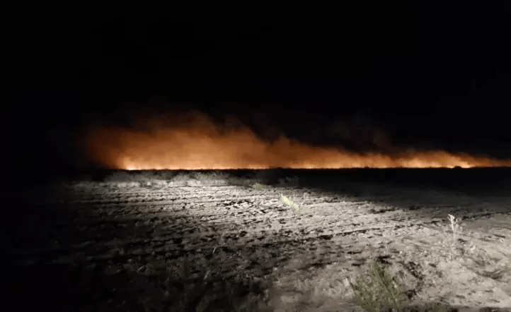 El Gobierno busca endurecer las penas por incendios intencionales y apunta a grupos «terroristas&nbsp;pseudomapuches»