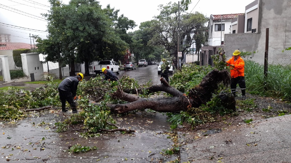 Alerta meteorológica en Salta: Recomendaciones clave ante posibles&nbsp;tormentas