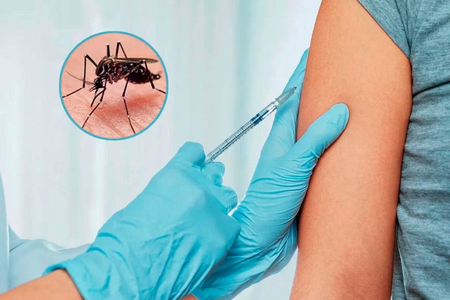 Desde el miércoles comenzará la vacunación contra el dengue en zonas priorizadas