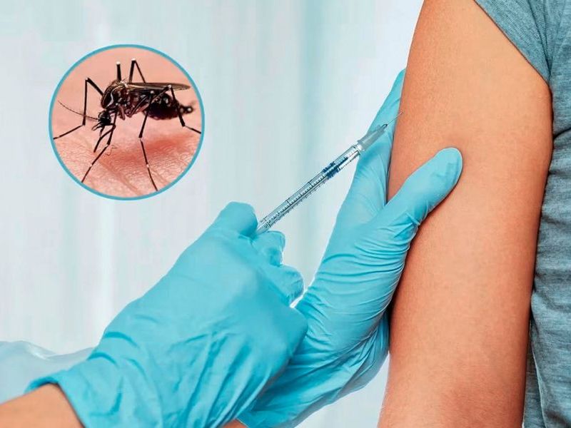 Desde el miércoles comenzará la vacunación contra el dengue en zonas&nbsp;priorizadas