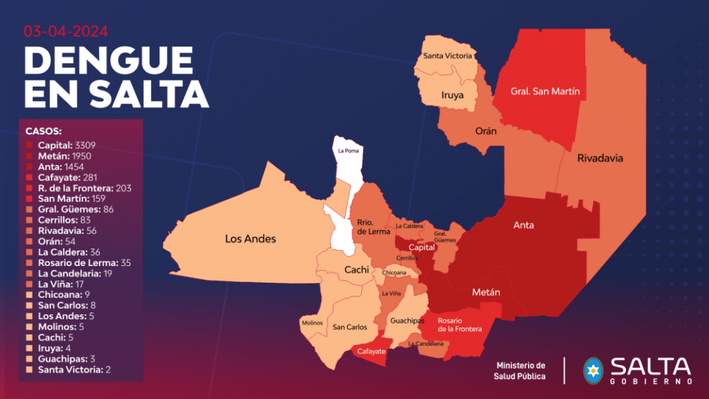 Ministro de Salud de Salta Advierte sobre la Gravedad del Dengue: Pico en 15-30 Días