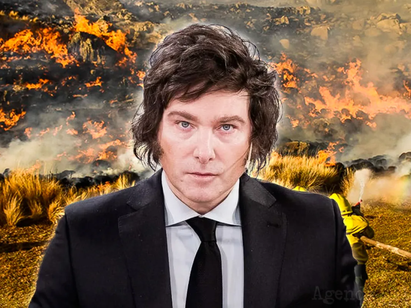 Milei firmó un DNU que declara la emergencia ígnea por los incendios en la&nbsp;Patagonia