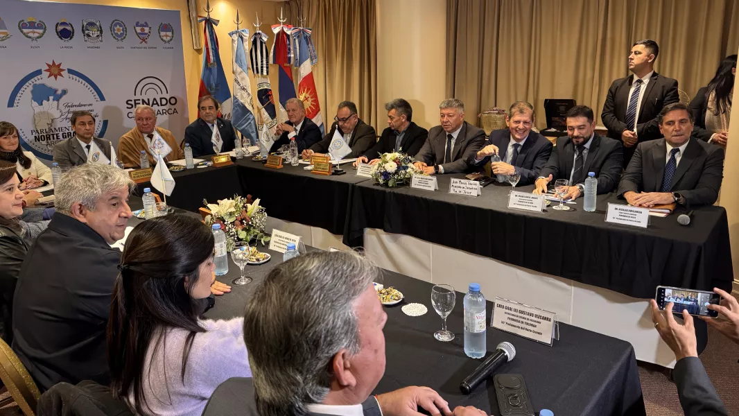 El Norte Grande coordina una estrategia regional para fortalecer la seguridad