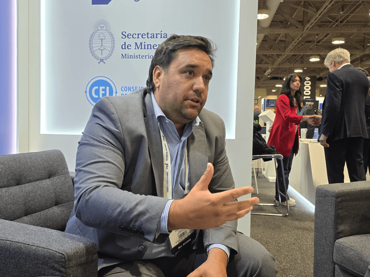 Manuel Gómez Bello: “Un proyecto de cobre equivale a diez de litio en impacto&nbsp;económico”