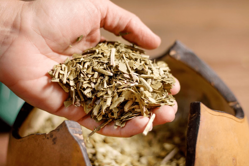 Las 20 yerbas más vendidas del país: quién lidera el ranking y cómo se reparte el&nbsp;mercado