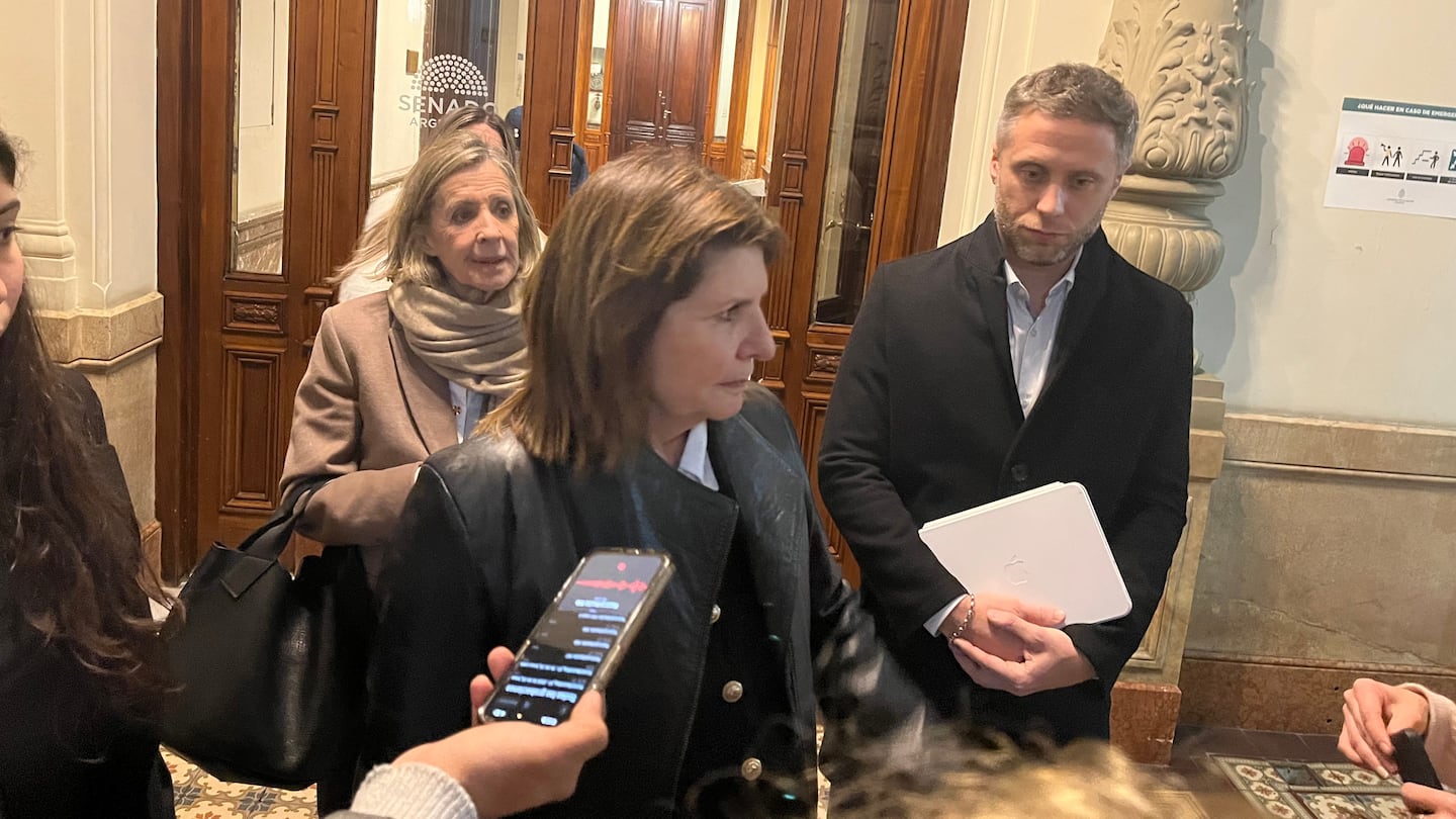 Voto a voto, el oficialismo busca flexibilizar la Ley de Tierras y ampliar el tope del 15% a la propiedad extranjera
