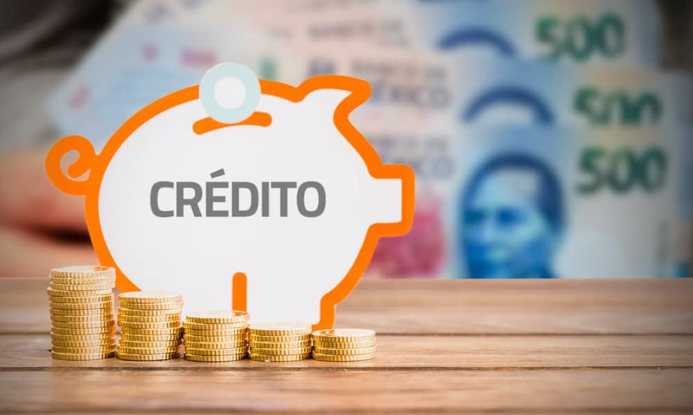 El Gobierno de Salta relanza créditos productivos de hasta $15 millones para emprendedores y pequeños productores